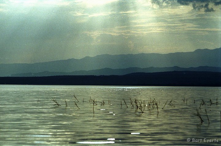 Scan20057.jpg - Lake Baringo