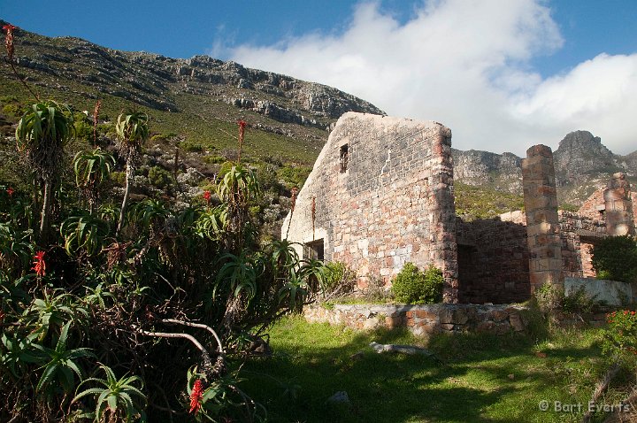 DSC_5937.jpg - ruins of Dutch fort