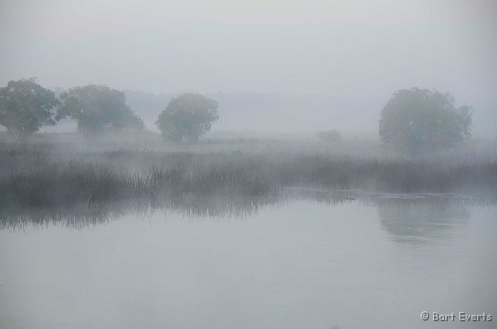 DSC_3598.jpg - early morning fog