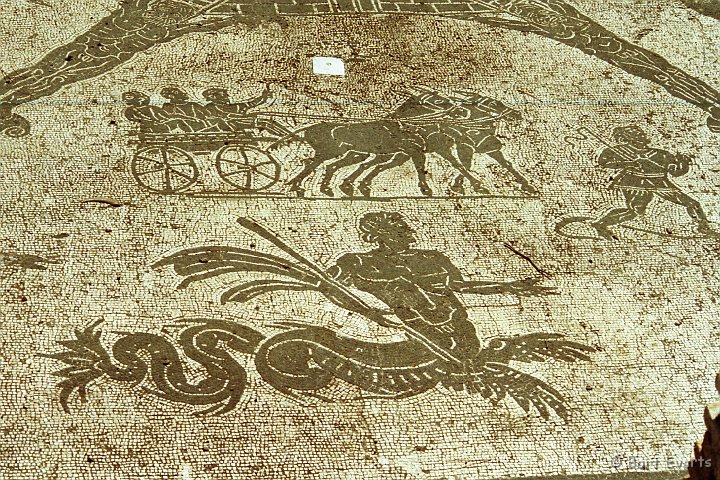 Scan10103.jpg - Mosaics of a floor of a merchants office in Ostia Antica
