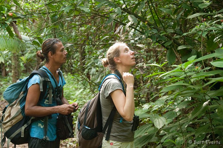 DSC_8939.jpg - Our guide Rodolpho showing us the plants and animals of the rainforest