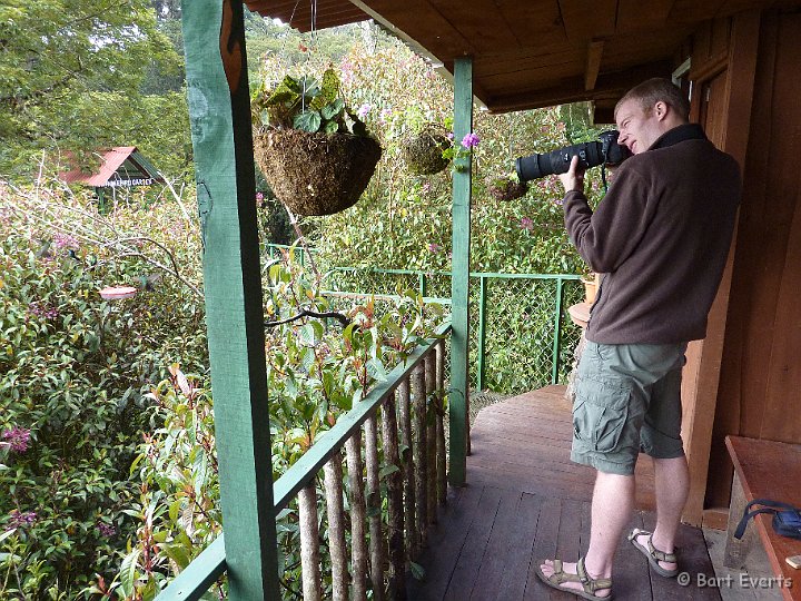 DSC_8821.JPG - Taking photos of hummingbirds