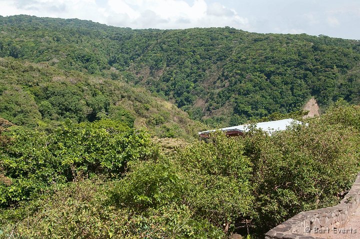 DSC_8564.jpg - The roof of our hotel room and the surrounding forests