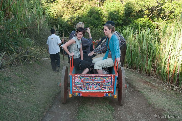 DSC_8798.jpg - taking a ride in a oxwagon