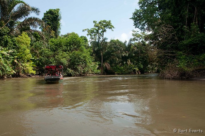 DSC_8111.jpg - There is no road to Totuguero, byriver is the only way to get there