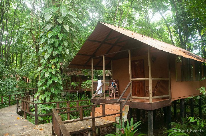 DSC_8113a.jpg - Our bungalow in Rana Roja Lodge