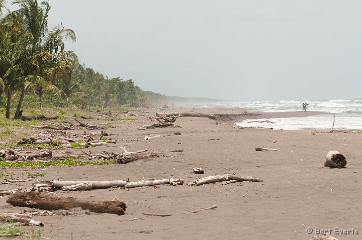 DSC_8242.jpg - Beach on which we searched for Leatherback turtles laying eggs. Unfortunately with no success