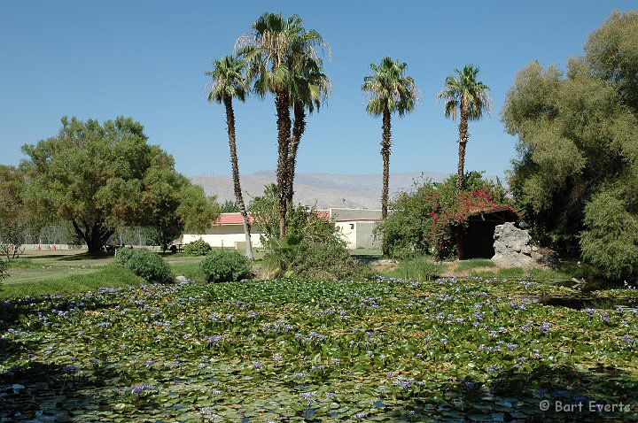 DSC_1027.JPG - Campsite near Palm Springs