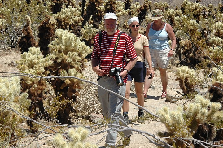 DSC_1105.JPG - The desert of Joshua Tree NP