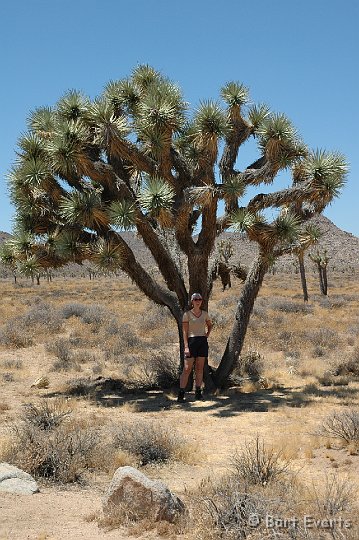 DSC_1119.JPG - Rianne in the shade