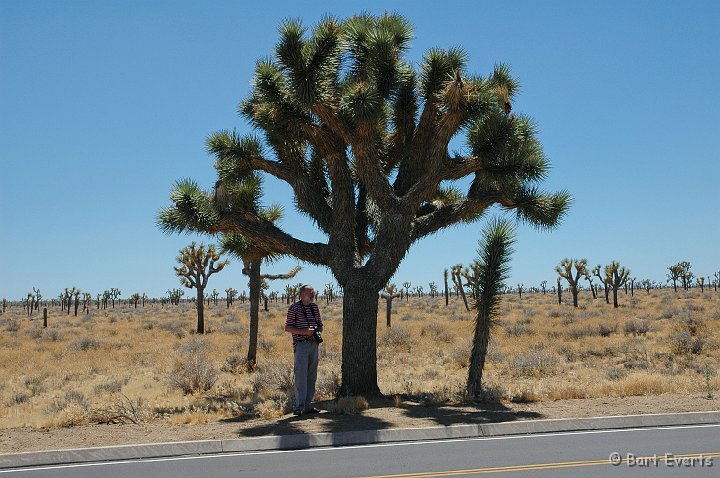 DSC_1120.JPG - My father in the shade