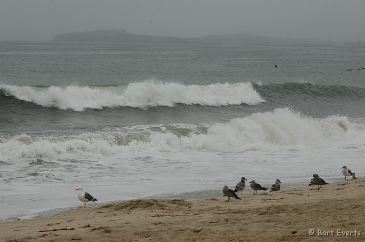 DSC_1707.JPG - rough coast of the San Francisco Peninsula (half moon bay)