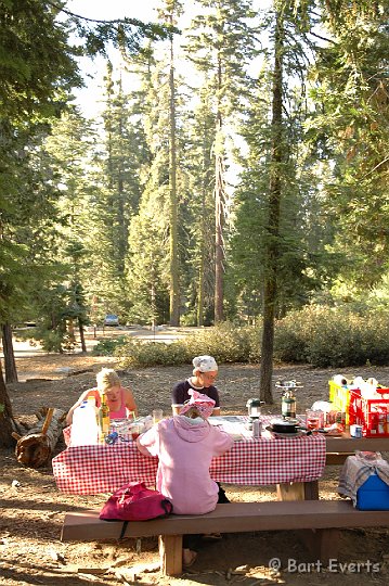 DSC_1336.JPG - Campsite in Sequioa NP