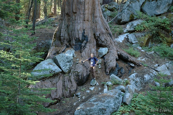 DSC_1435.JPG - Big tree with small guy