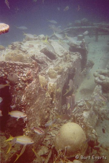 7.jpg - Boatwreck 'tugboat' with Sergeant Majors, Yellow-tail snappers and Juvenile parrotfish. Also with some nice corals and sponges