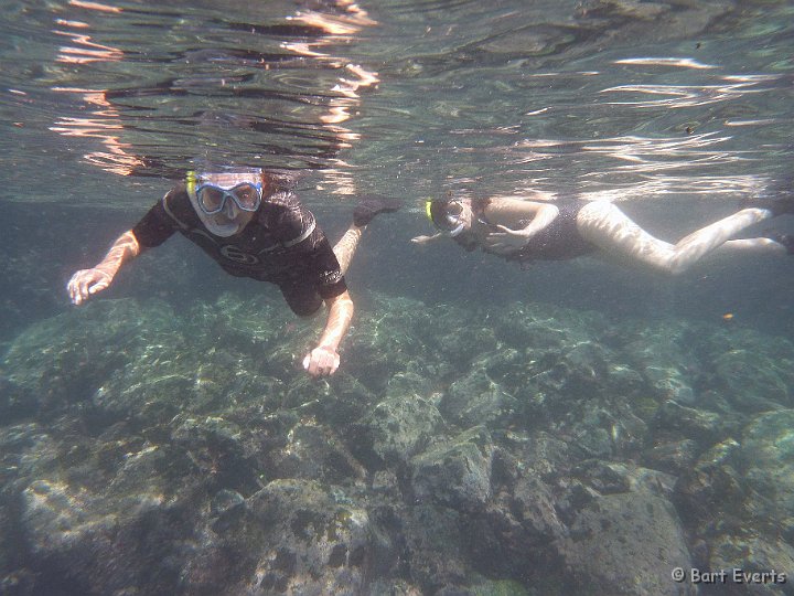 DSC_9217e.jpg - snorkeling