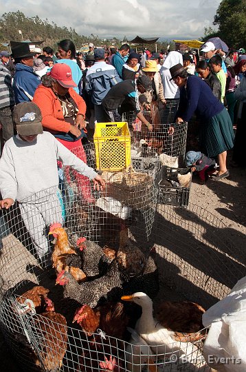 eDSC_0315.JPG - animal market