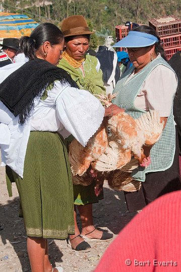 eDSC_0316.JPG - selling chickens