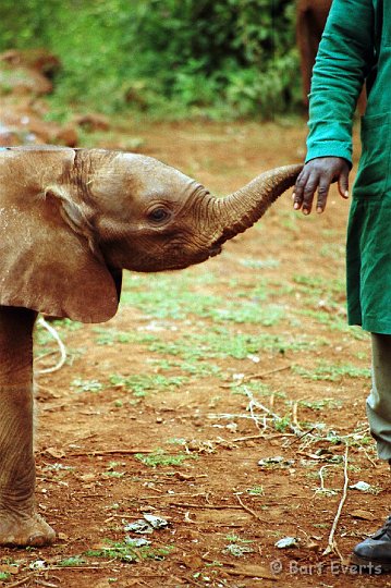 Scan10105.jpg - Elephant Orphanage