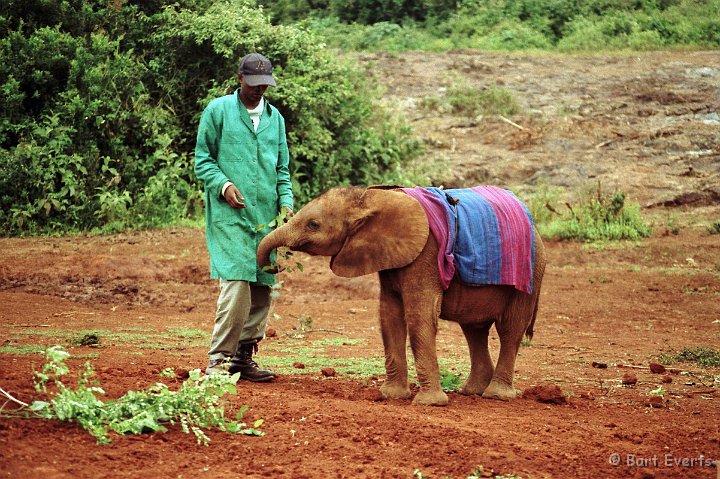Scan10106.jpg - Elephant Orphanage