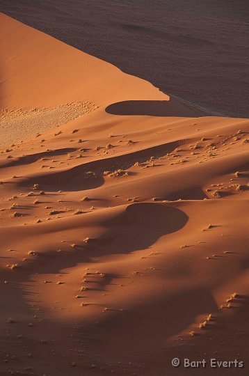 DSC_5495.jpg - views from Dune 45