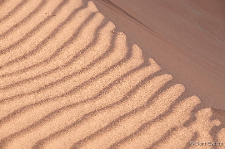 DSC_5520.jpg - Dune detail