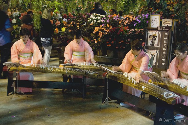 DSC_4897.jpg - Women playing traditional music during the Congress Dinner