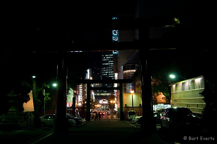 DSC_5023.jpg - Ikuta Jinja shrine by night