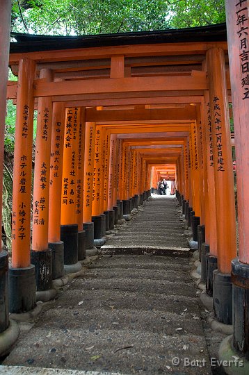 DSC_5053.jpg - The Fushimi-Inari Taisha Shrine famous for its corridors of Torii gates