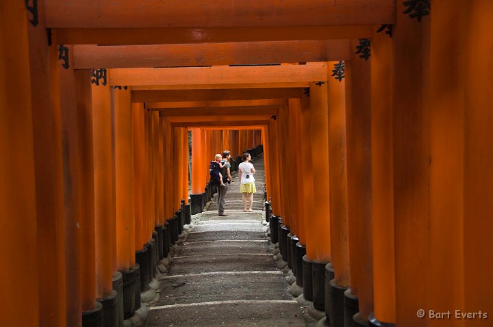 DSC_5054.jpg - The Fushimi-Inari Taisha Shrine famous for its corridors of Torii gates