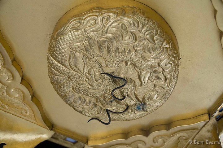 DSC_5076.jpg - Detail of a golden print of a dragon