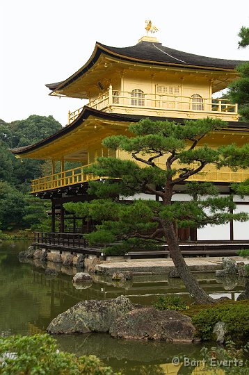 DSC_5143.jpg - Kinkaku-ji or Golden Temple