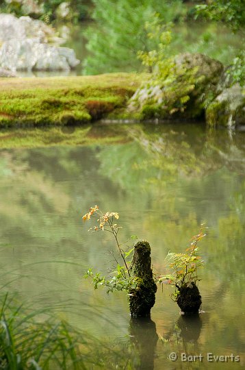 DSC_5147.jpg - Gardens of Kinkaku-ji or Golden Temple