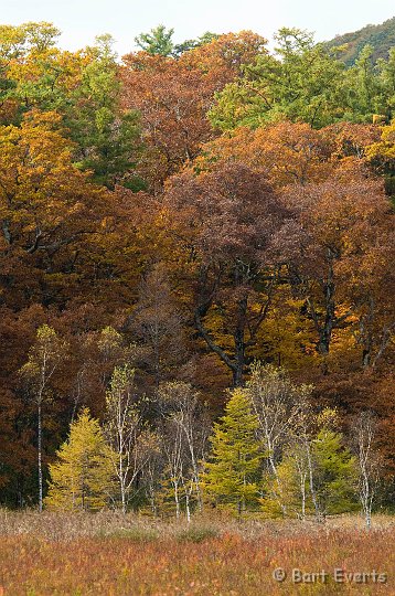 DSC_5251.jpg - Lovely Autumn colors