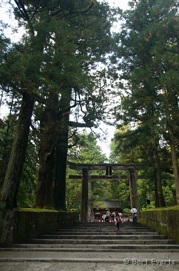 DSC_5360.jpg - Torii entrance to Tosho-gu shrine