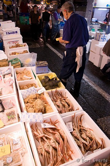DSC_5470.jpg - the biggest fish market of Japan
