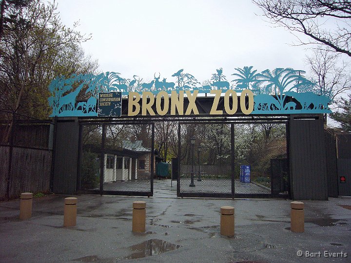 DSC_6809m.JPG - Bronx Zoo